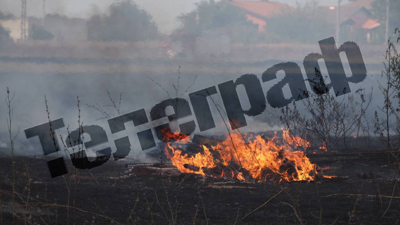 кв Димитър Миленков