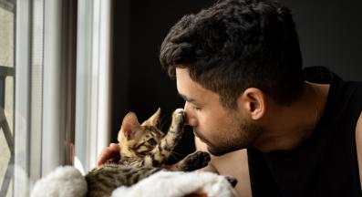 домашна котка и собственик