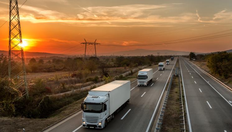 камиони магистрала - Хванаха наш шофьор, карал камион 2 седмици без почивка