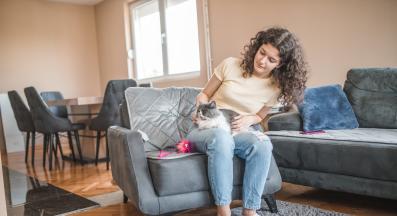 почистване на котката