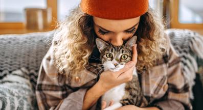 домашна котка