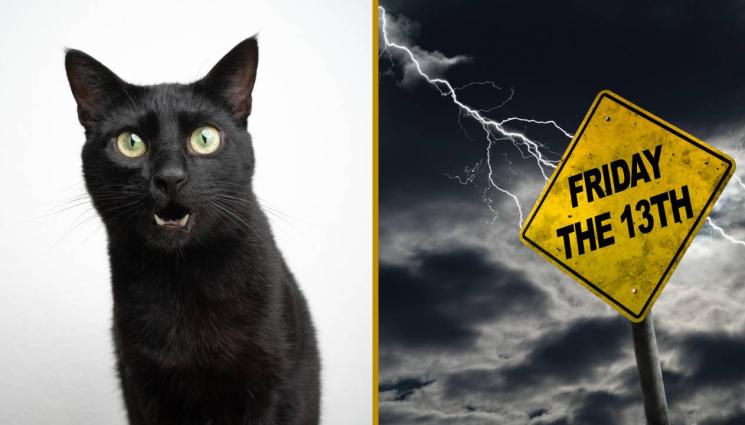 петък 13 - МАГ ЗОДИАК: Петък, 13-и - добър за масаж и магии