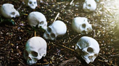 масов гроб череп