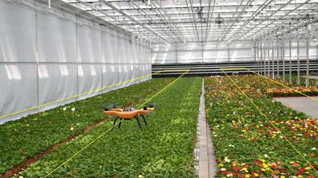 дронове оранжерии