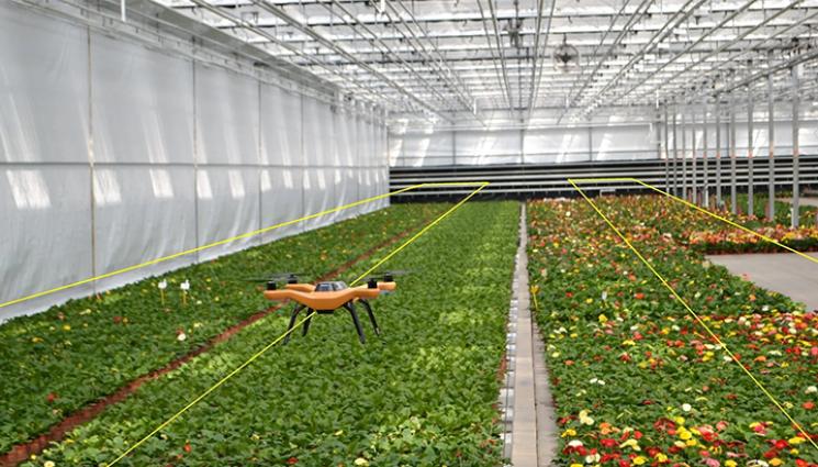 дронове оранжерии - Агро Телеграф: Микродрон гони вредни насекоми в оранжерията