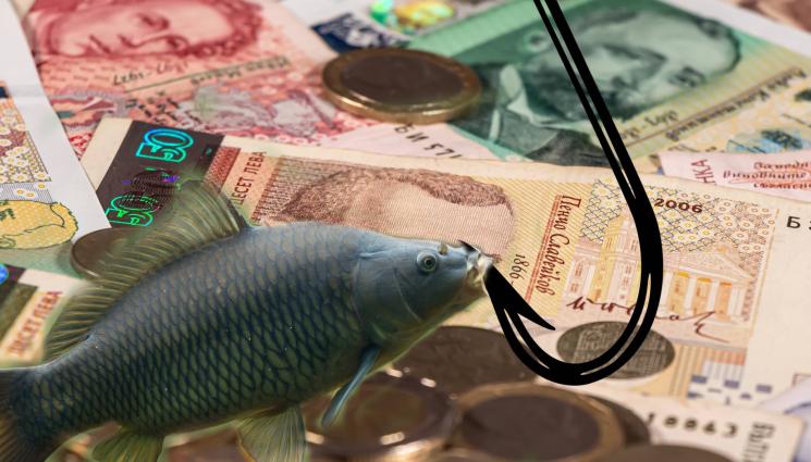 шаран пари кука - ЧЕСТИТО: БГ шаранът отплува в Румъния! (СНИМКИ)