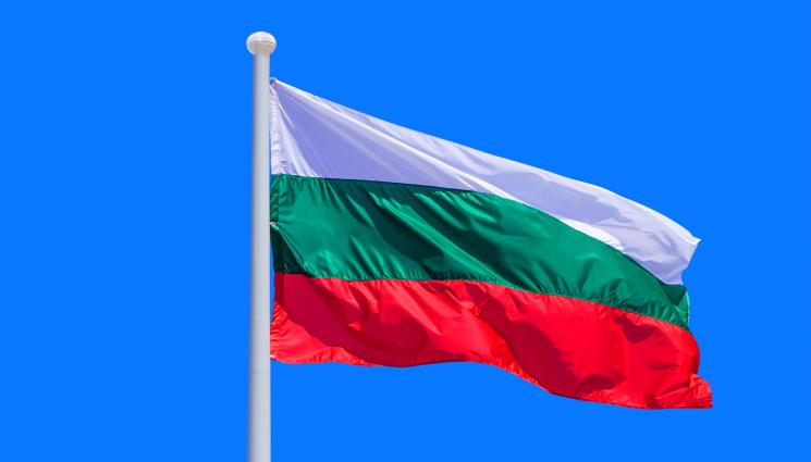 българско знаме - В наше село вдигнаха 8-метров пилон с трибагреника (СНИМКА)