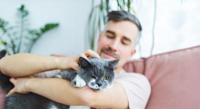 домашна котка