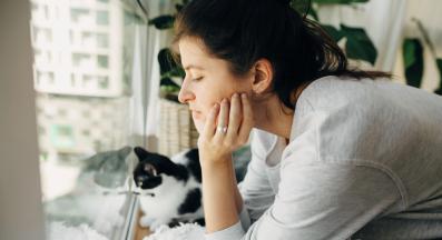 домашна котка