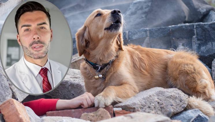 Доктор Евгени Евтимов - Могат ли животните да предсказват земетресения?!