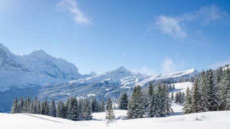 сняг зима планина