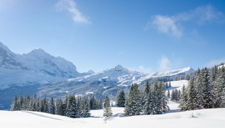 сняг зима планина - Какви са условията за туризъм в планините?
