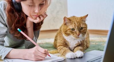 домашна котка и дете