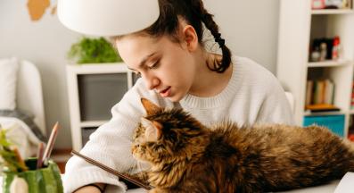 домашна котка и момиче