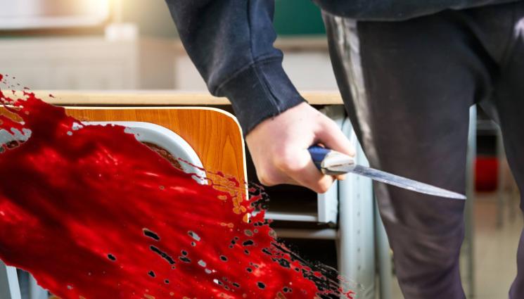 училище нож кръв - СЛЕД КЪРВИЩАТА В СЕВЕРОЗАПАДА: Пуснаха Шекера! (СНИМКА)