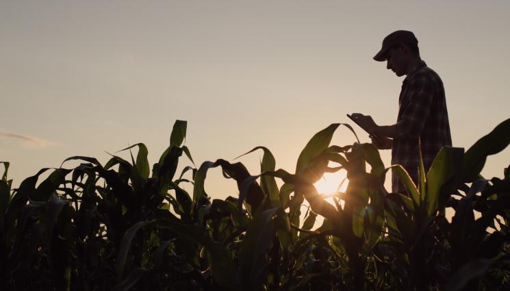 фермер - Агро Телеграф: Гърците с 4 пъти повече ферми от нас