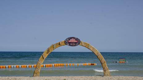 Игир на волята