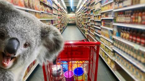 коала магазин