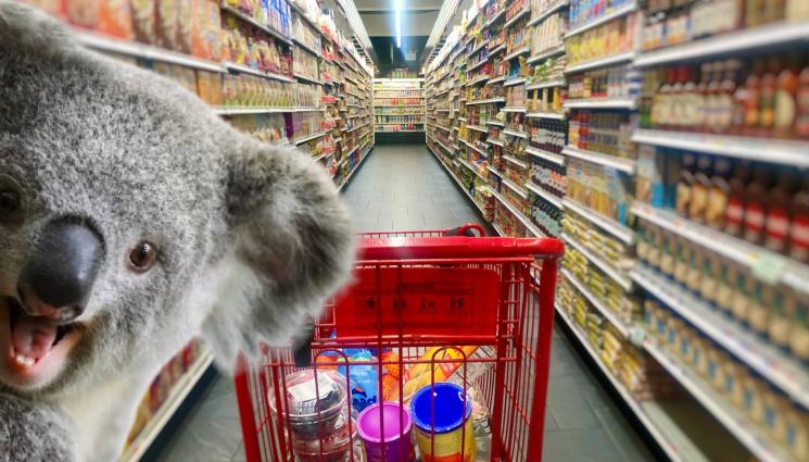 коала магазин - ХРАНАТА ПРАВИ БОРБАТА: Гладна коала тръгна на пазар (ВИДЕО)