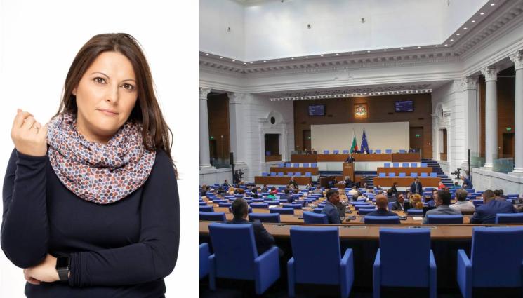 Елена Дариева - Социологът Елена Дариева пред