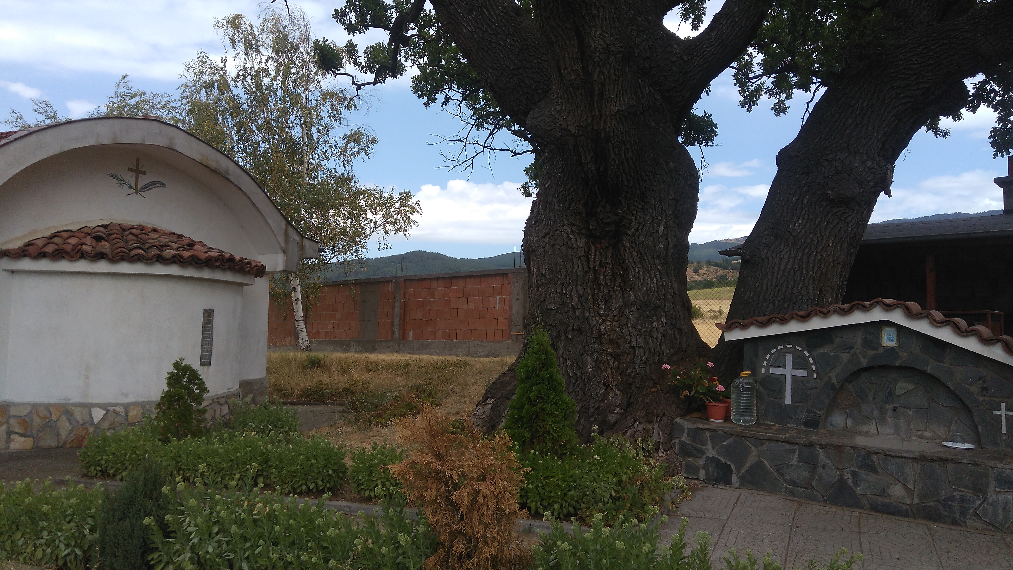 Чудеса и вяра