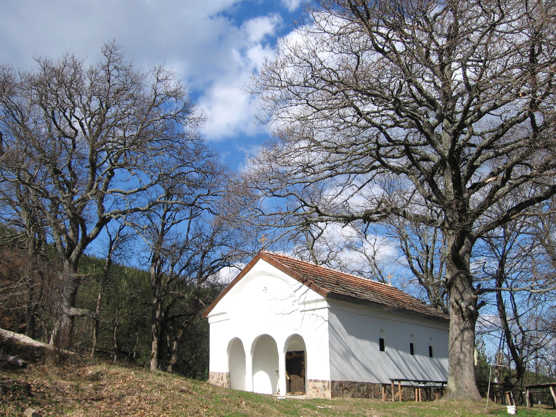 Чудеса и вяра