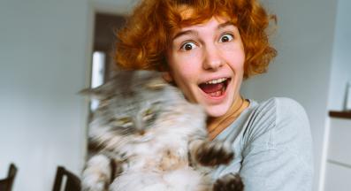 домашна котка