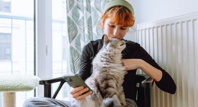 домашна котка