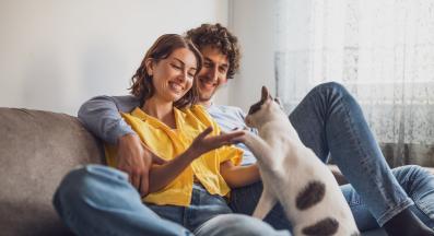 отглеждане на котката