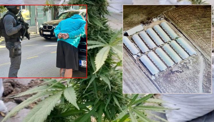 ЦДЦ - НОВА МОДА: Поръчват вейпове с дрога онлайн!