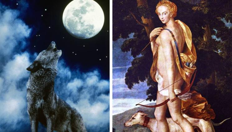 вълк римската богиня Диана - ИСТИНА ИЛИ ЛЪЖА: Защо вълците (не) вият при пълнолуние