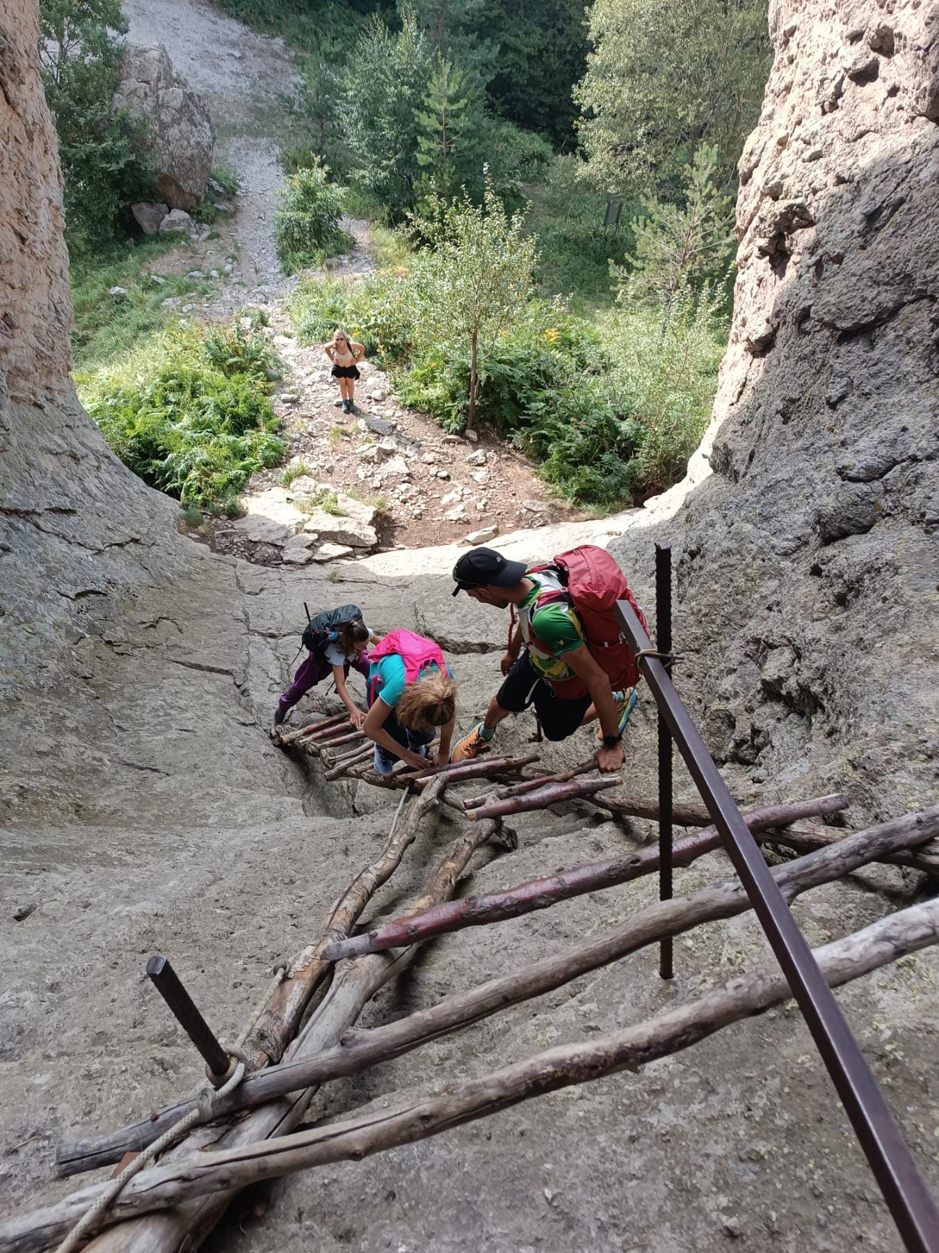 Кръстова гора