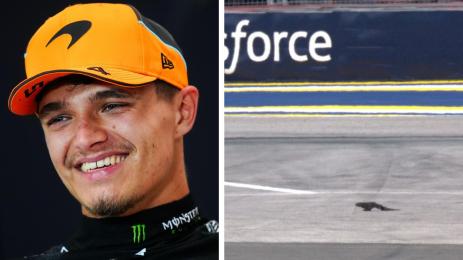 Ландо Норис