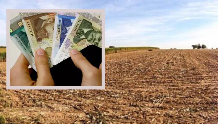 земя - ЗА ЖЪЛТИ СТОТИНКИ: Пуснаха ниви на цената на дънки!