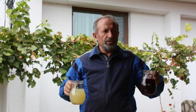 вино - Агро Телеграф: Наплив за Керацуда и Сандански мискет  в Илинденци