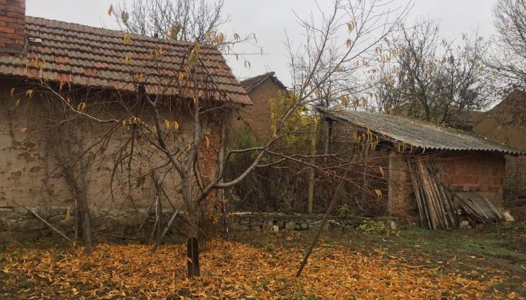 шума компост - Агро Телеграф: Червеи и компост за почвата през есента