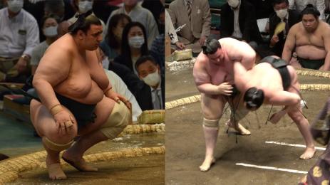 Аоияма сумо