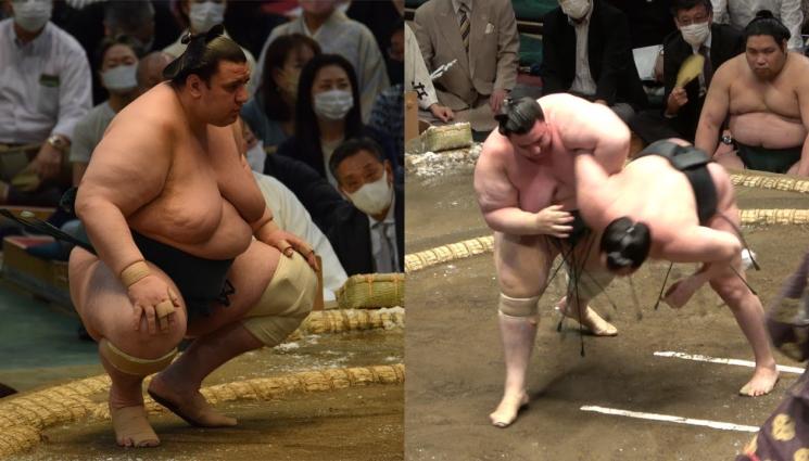 Аоияма сумо - Наш Аоияма прекратява кариерата си в сумото, пак ще се казва Иватамо