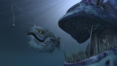 риба чудовище морско чудовище