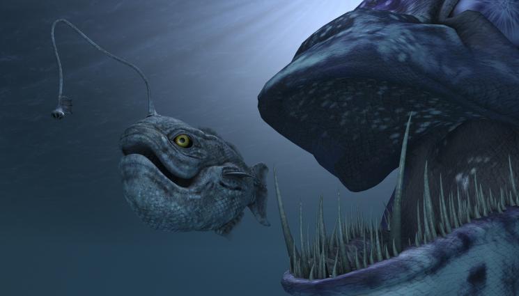 риба чудовище морско чудовище - ОТ ДРУГА ПЛАНЕТА? Откриха чудовищна двуметрова риба на плаж! (СНИМКИ)