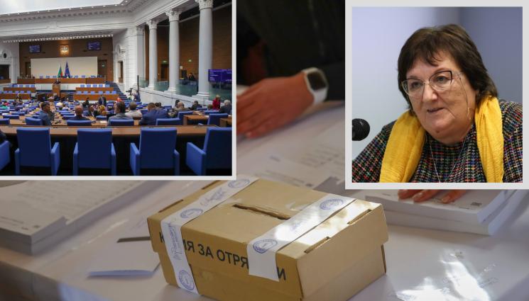 избори - Политологът проф. Милена Стефанова пред 