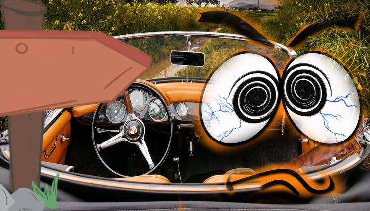 кола поле - ГРЕШНА ТАБЕЛА мята камиони и коли в нивите и дворовете на хората! (СНИМКА)