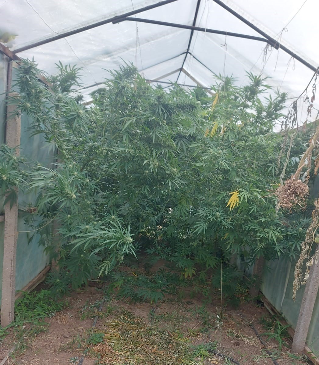 силистренско