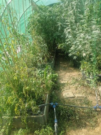 силистренско