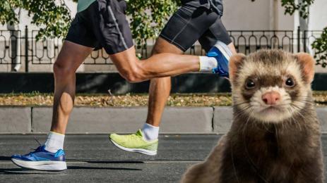 ретро спорт