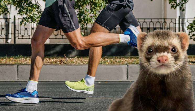 ретро спорт - ЛУДИ ЗА ВРЪЗВАНЕ: Да бягаш с пор в гащите заради тръпката! (СНИМКИ)
