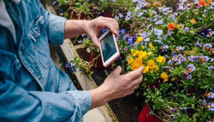 златно време - Смартфонът ни подсеща да поливаме чушките