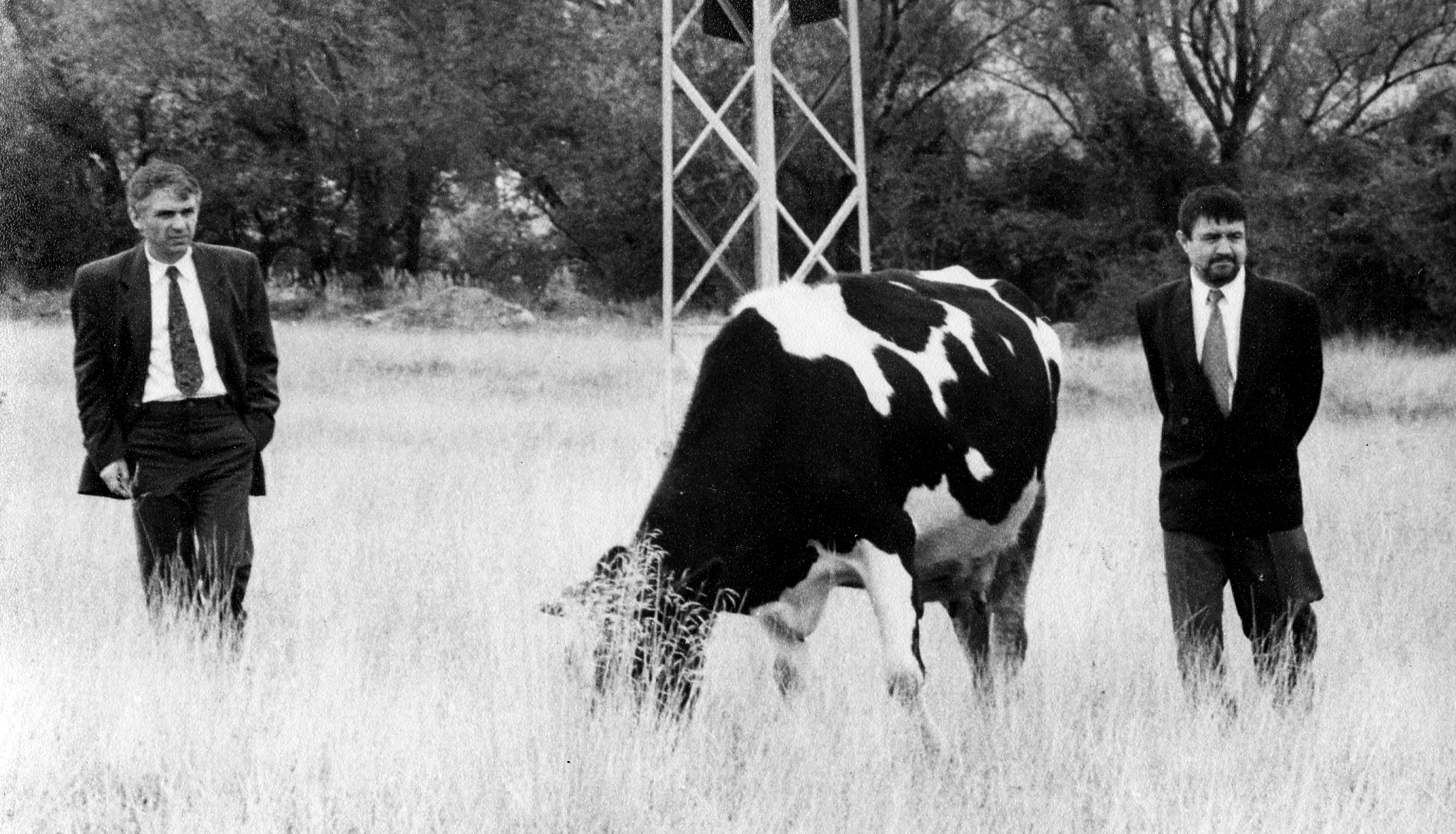 Кулеков и Бойчев