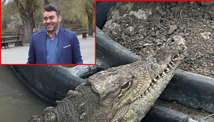 КРОКО - ИЗВАДИХА ГО НА СВЕТЛО: Кроко яде пилешко!