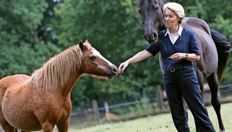 пони вълци - Вълците вече не са